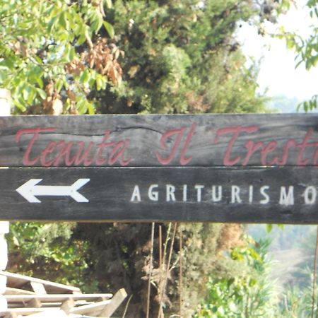Tenuta Il Tresto Поджібонсі Екстер'єр фото