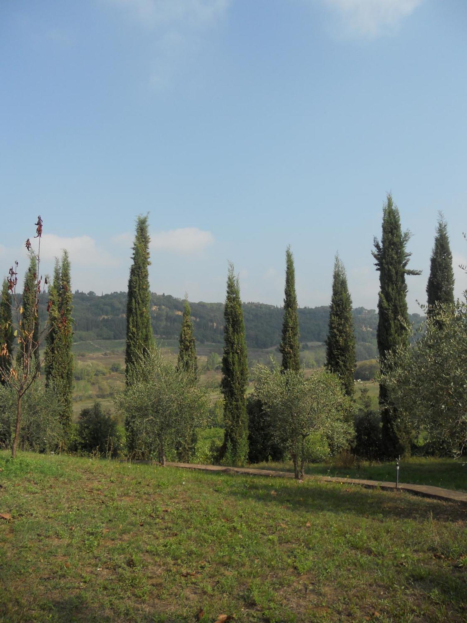 Tenuta Il Tresto Поджібонсі Екстер'єр фото