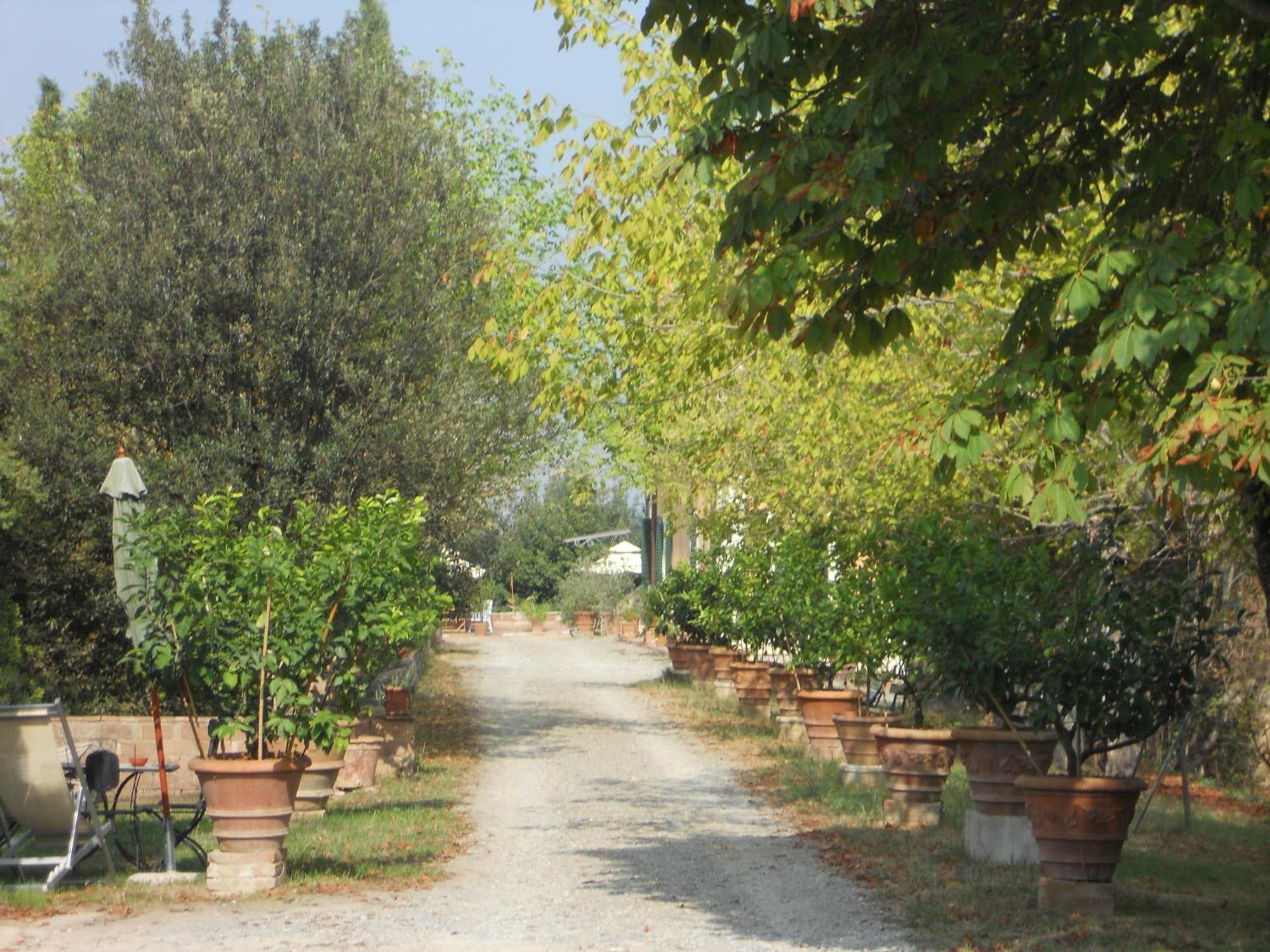 Tenuta Il Tresto Поджібонсі Екстер'єр фото