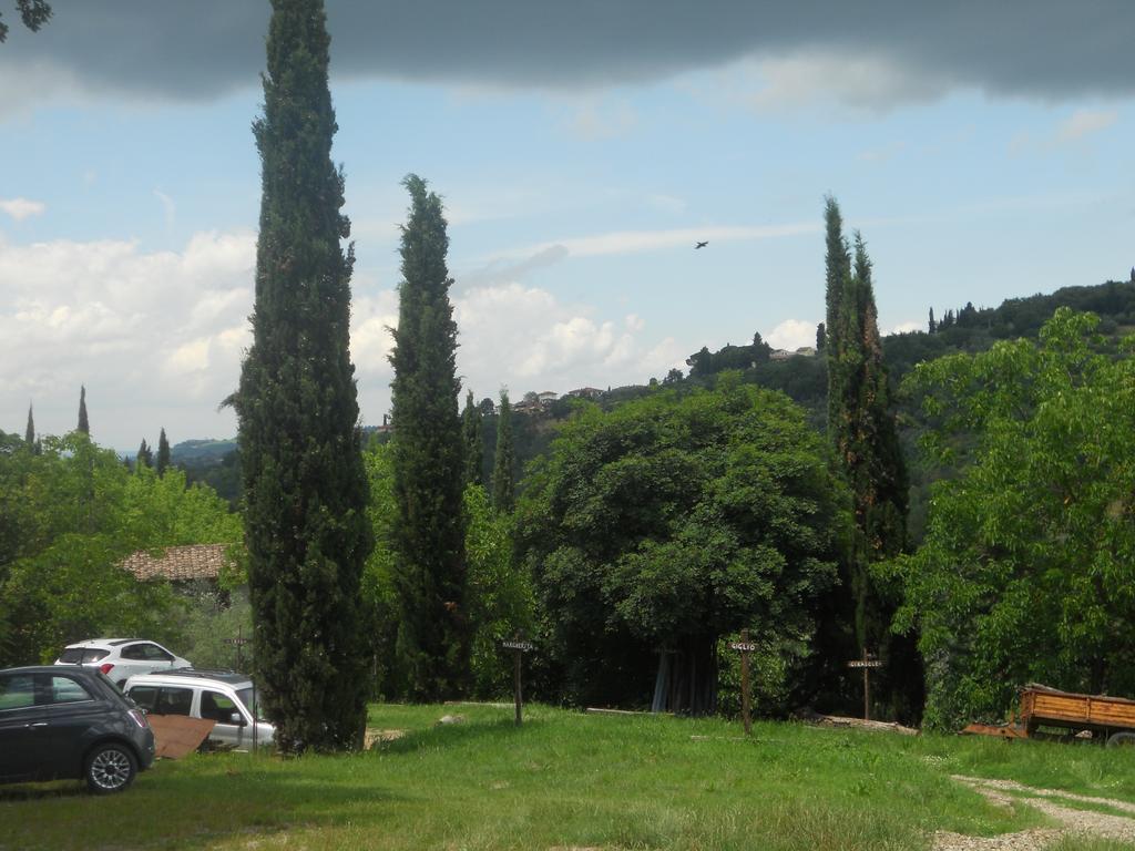 Tenuta Il Tresto Поджібонсі Екстер'єр фото